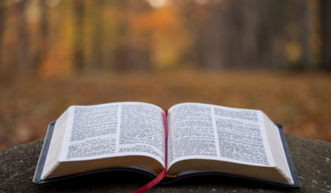 126-gdy-biblia-jest-przewodnikiem-zycia-52prawdy-pl
